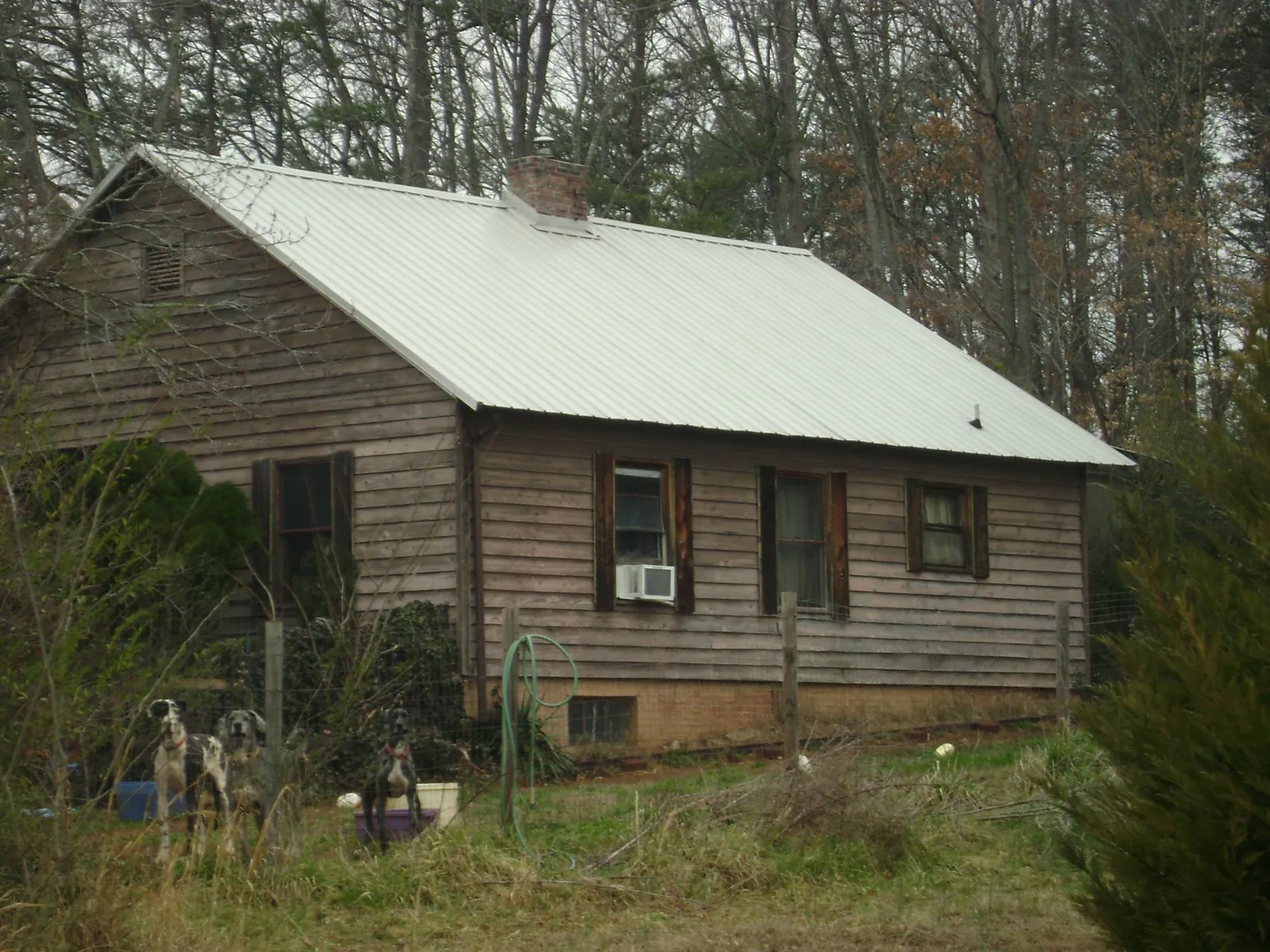 White metal roof on an old wood sided farmhouse, from a Metal Roof Installation job in Hudsonville